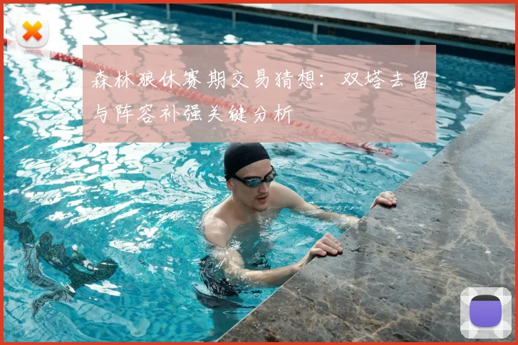 森林狼休赛期交易猜想:双塔去留与阵容补强关键分析